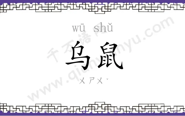 乌鼠