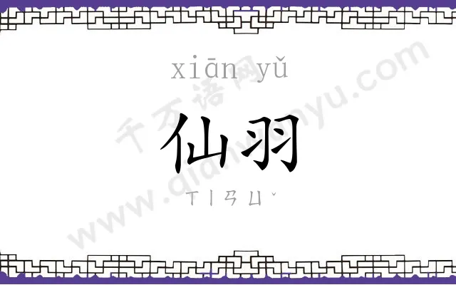 仙羽