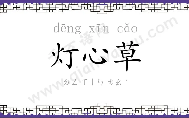 灯心草
