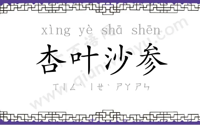 杏叶沙参