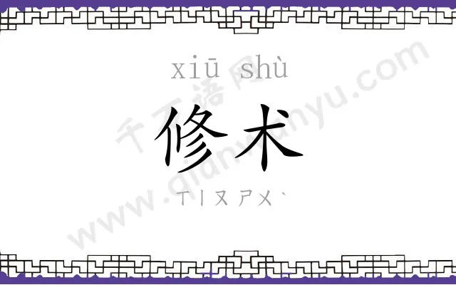修术