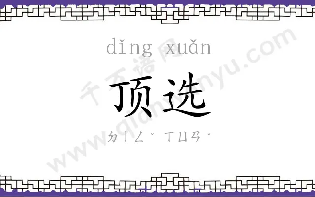 顶选