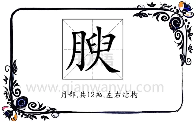 腴