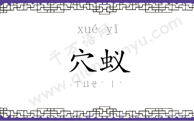 穴蚁