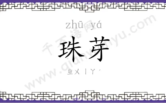 珠芽