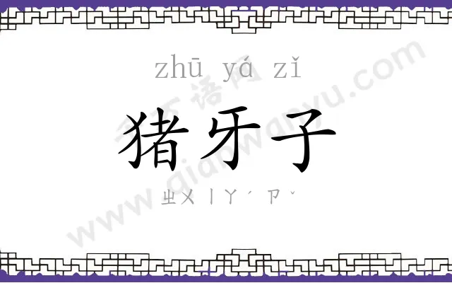 猪牙子