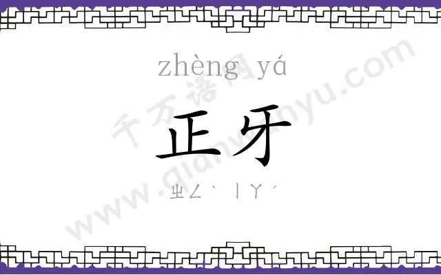 正牙
