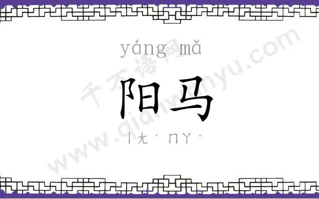 阳马