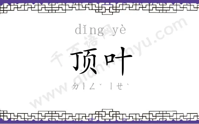 顶叶