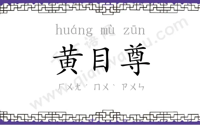 黄目尊