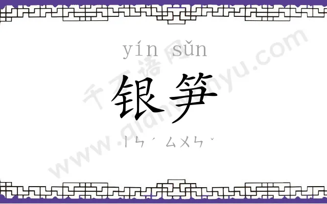 银笋