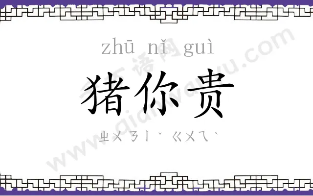 猪你贵