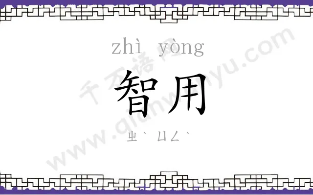 智用