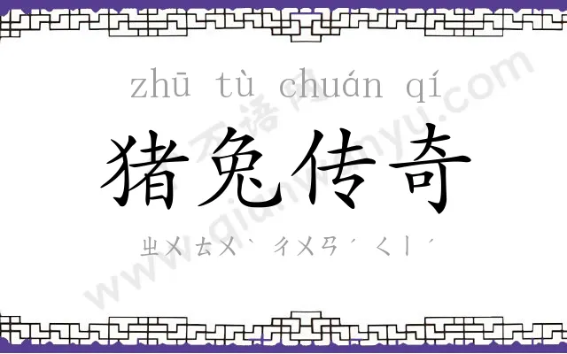 猪兔传奇