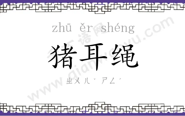猪耳绳
