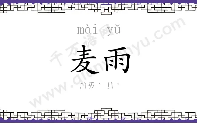 麦雨