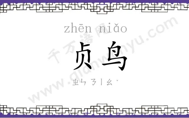 贞鸟
