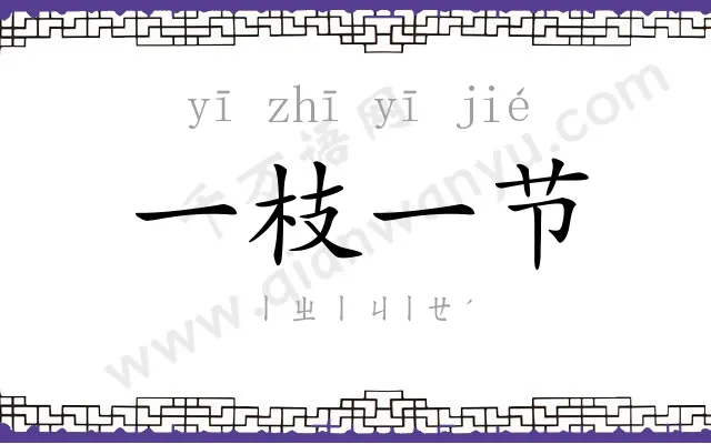 一枝一节