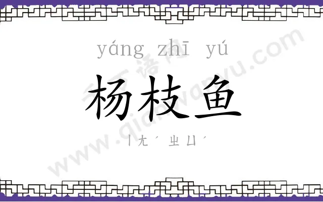 杨枝鱼