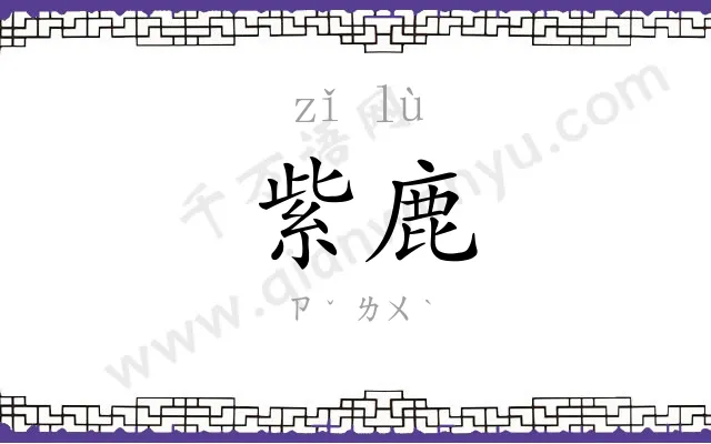 紫鹿