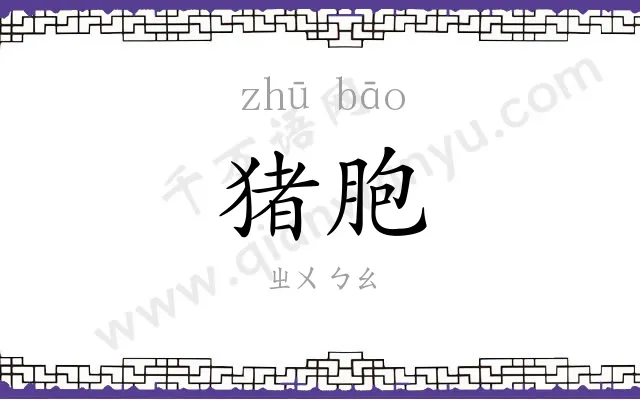 猪胞
