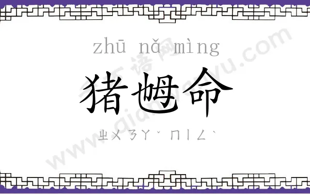 猪乸命