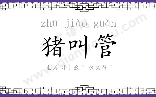 猪叫管