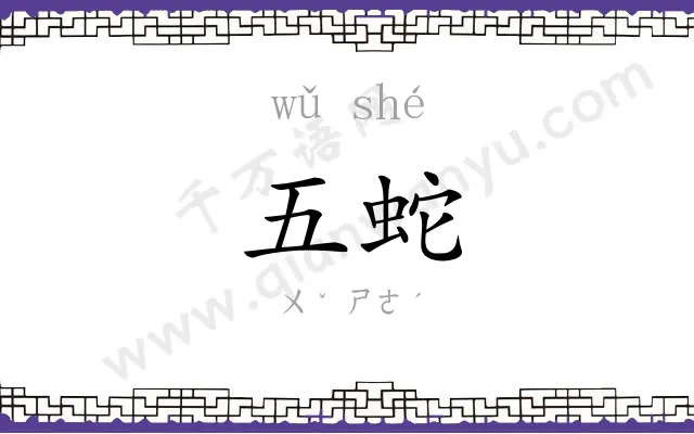 五蛇