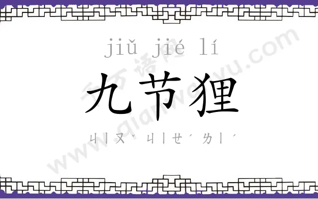 九节狸