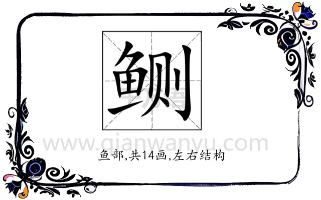 鲗