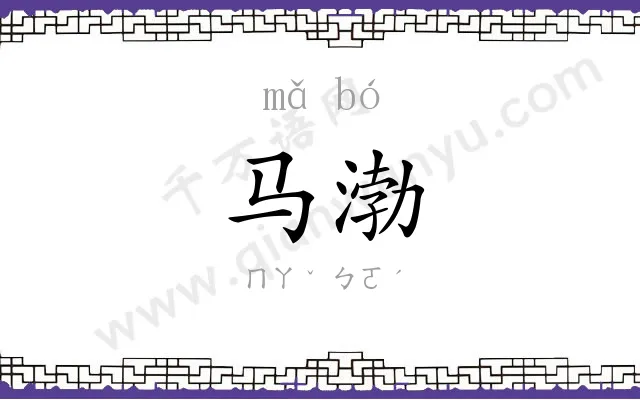 马渤