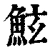 鮌(清·印刷字体·康熙字典)