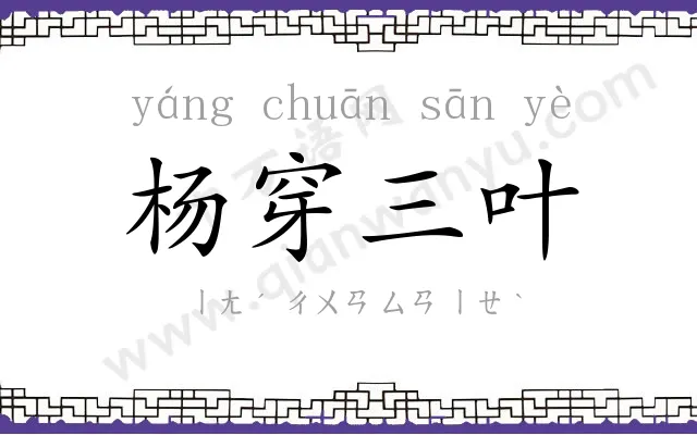 杨穿三叶