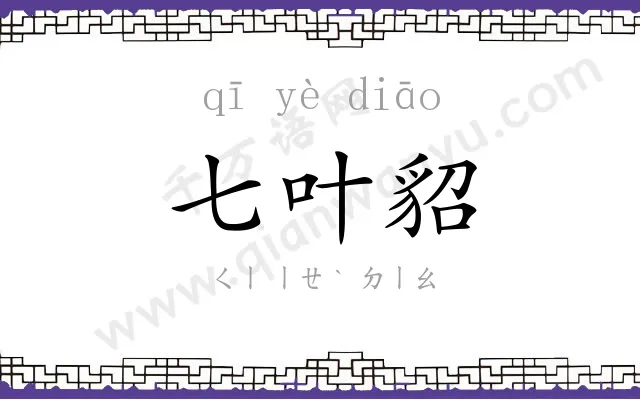 七叶貂