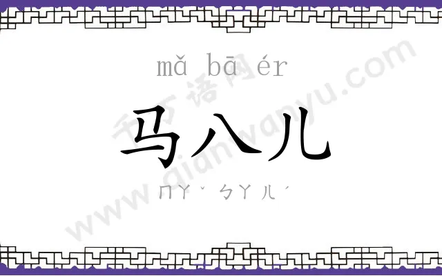 马八儿