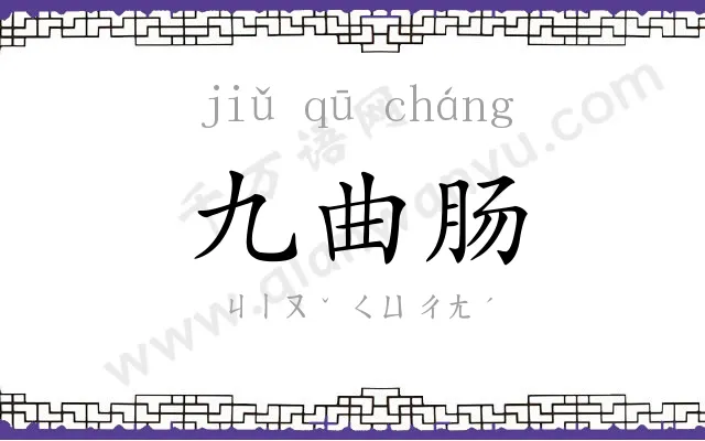 九曲肠