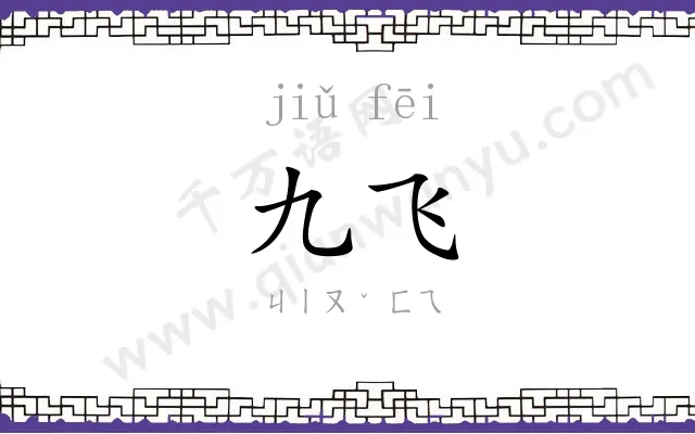 九飞