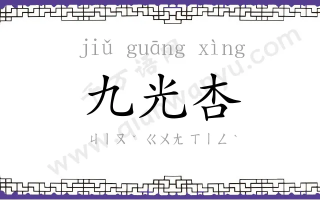 九光杏