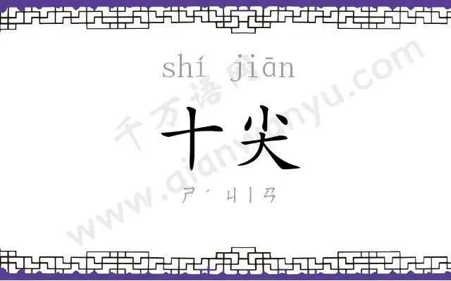 十尖