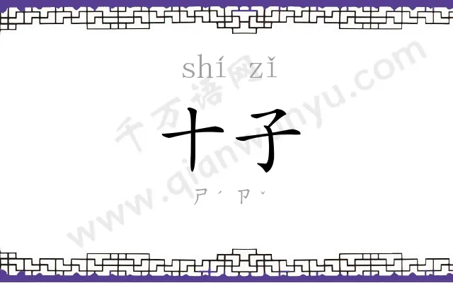 十子
