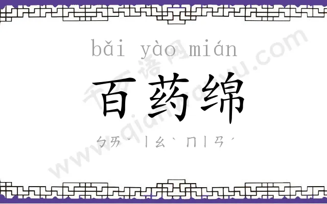 百药绵