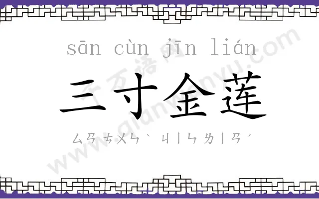 三寸金莲