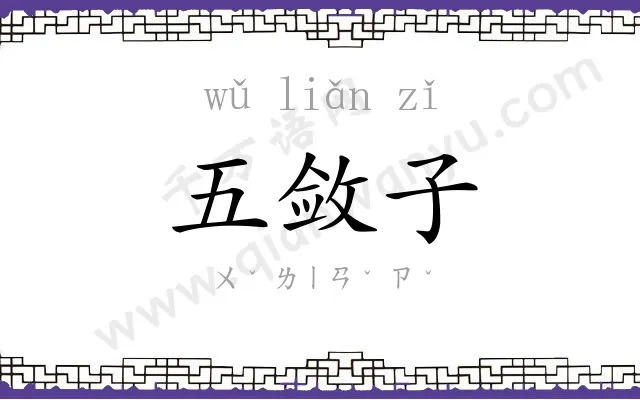 五敛子