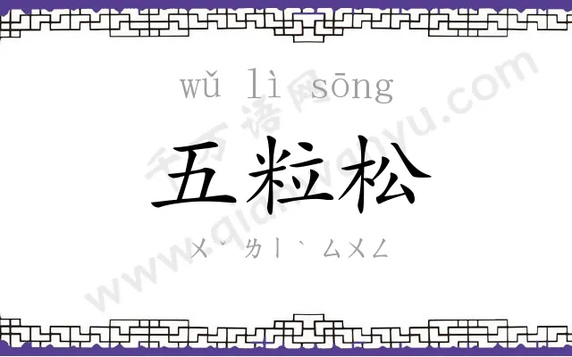 五粒松