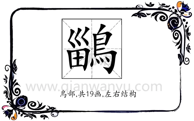 鶅