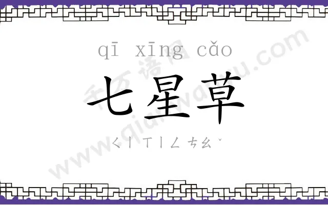 七星草