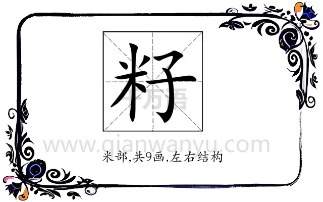 籽