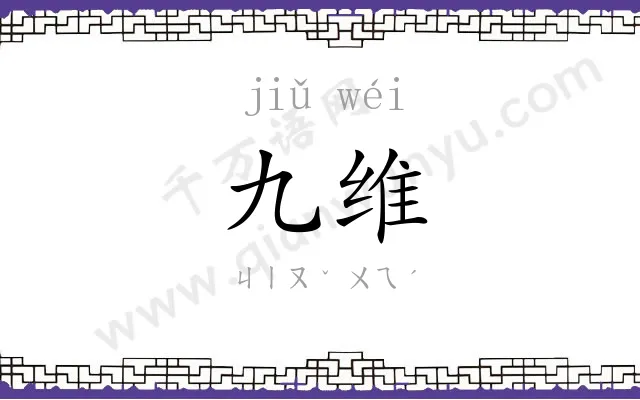 九维