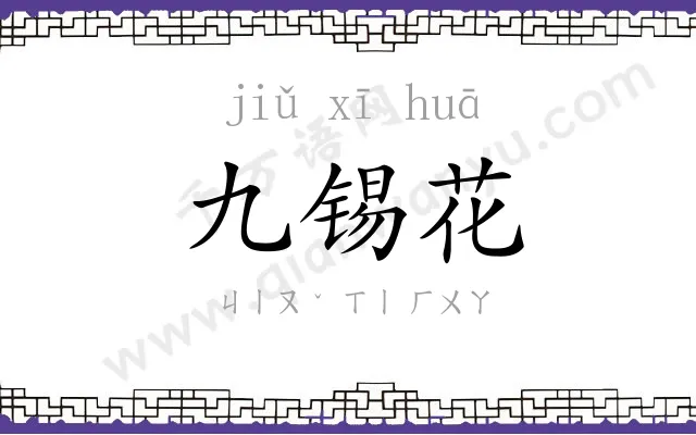 九锡花