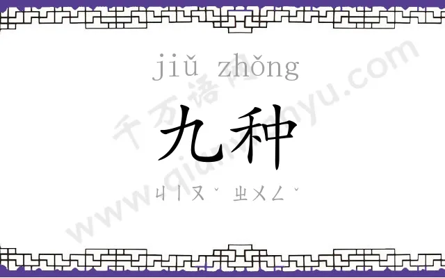 九种